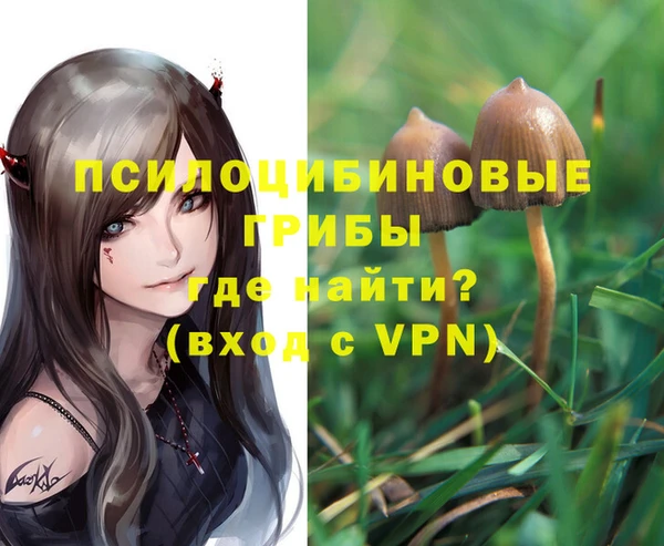 хмурый Алзамай