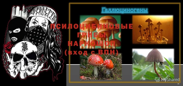 дмт Алексеевка