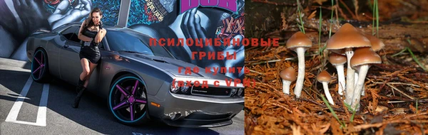 дмт Алексеевка