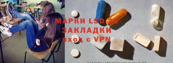 хмурый Алзамай