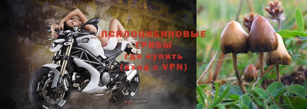 хмурый Алзамай